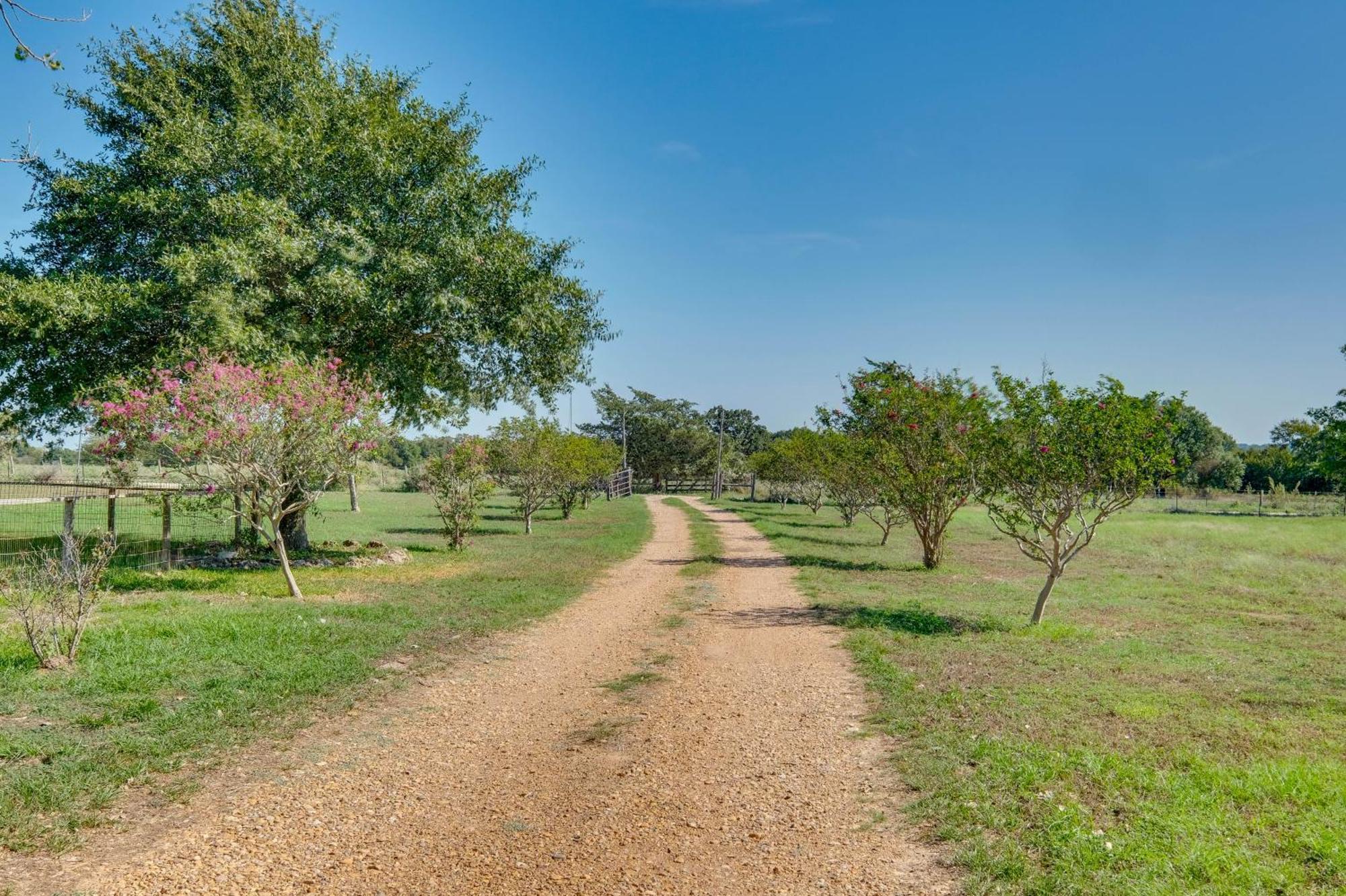 Delightful Carmine Studio On Farm Near Round Top! Exteriér fotografie